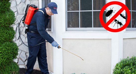 Samandağ Hamam Böceği İlaçlama böcek ilaçlama ve haşere kontrolü — ilaclama-tr.com
